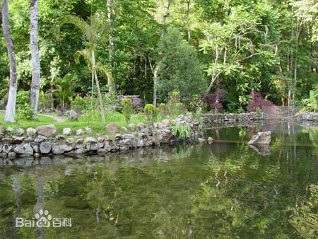 最全吕聿来壁纸