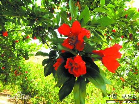 最全吕聿来壁纸