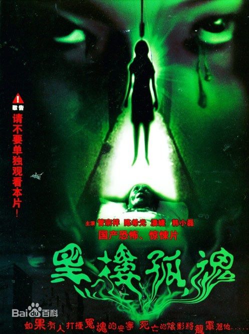 吕乐参与摄影的电影最全海报相册