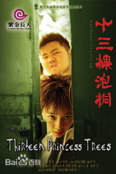 吕乐参与摄影的电影最全海报相册