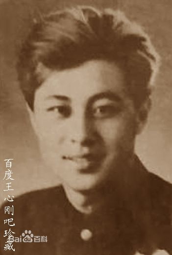 最全王心刚素颜照