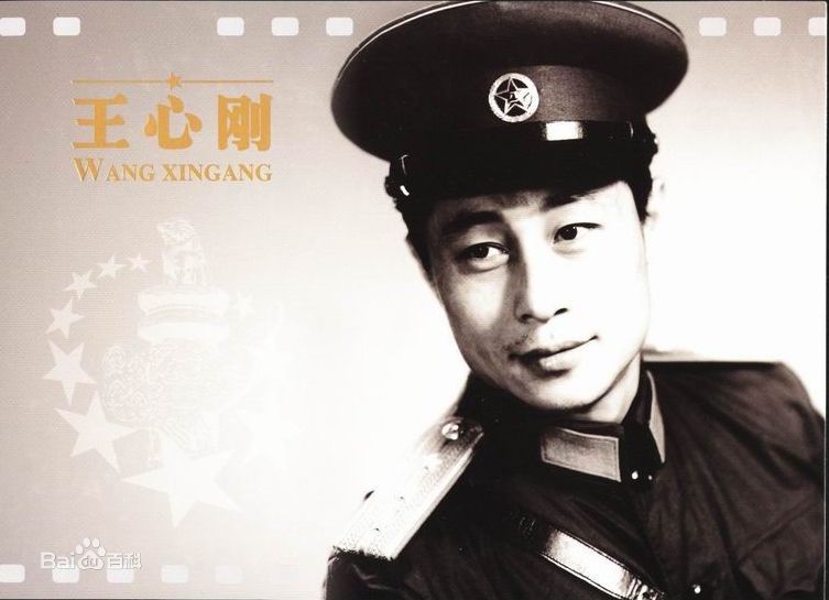 最全王心刚精彩图册