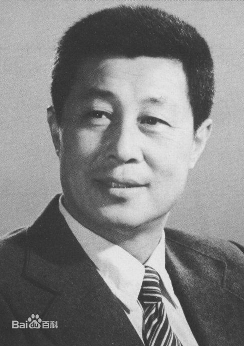 最全王心刚精彩图册