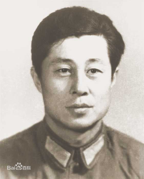 最全王心刚精彩图册