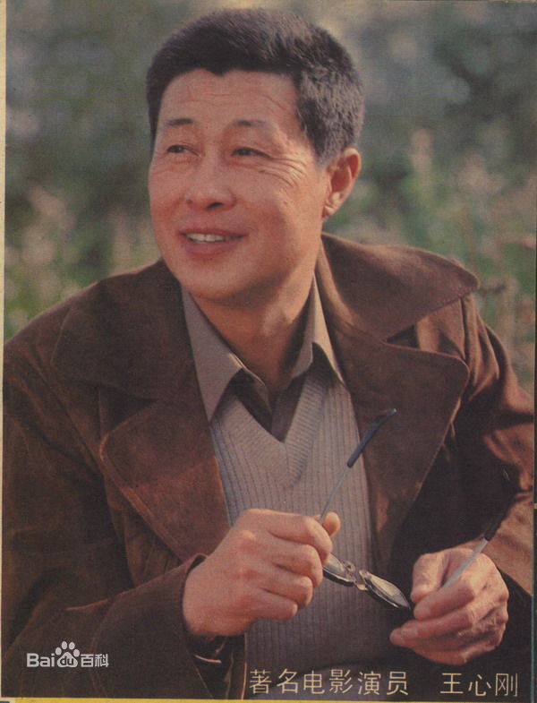 最全王心刚精彩图册