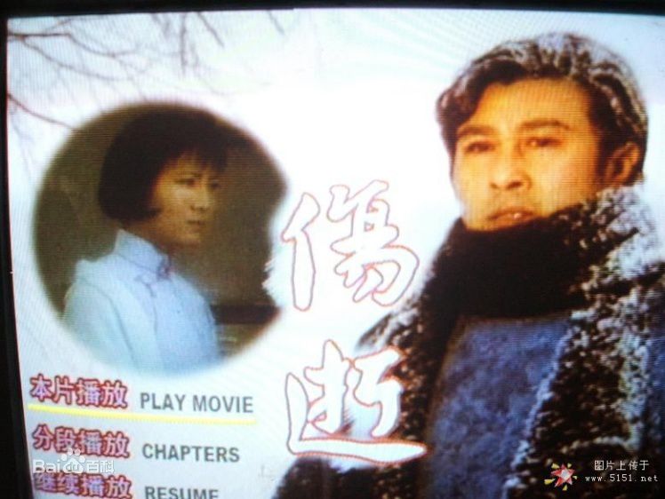 高清王心刚精彩图册