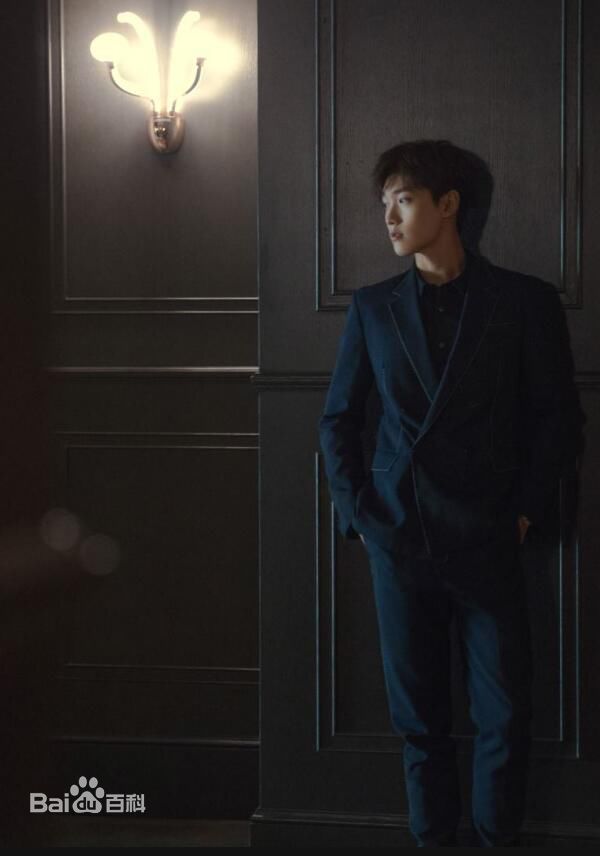 邢昭林企鹅影视年度发布会前后照片