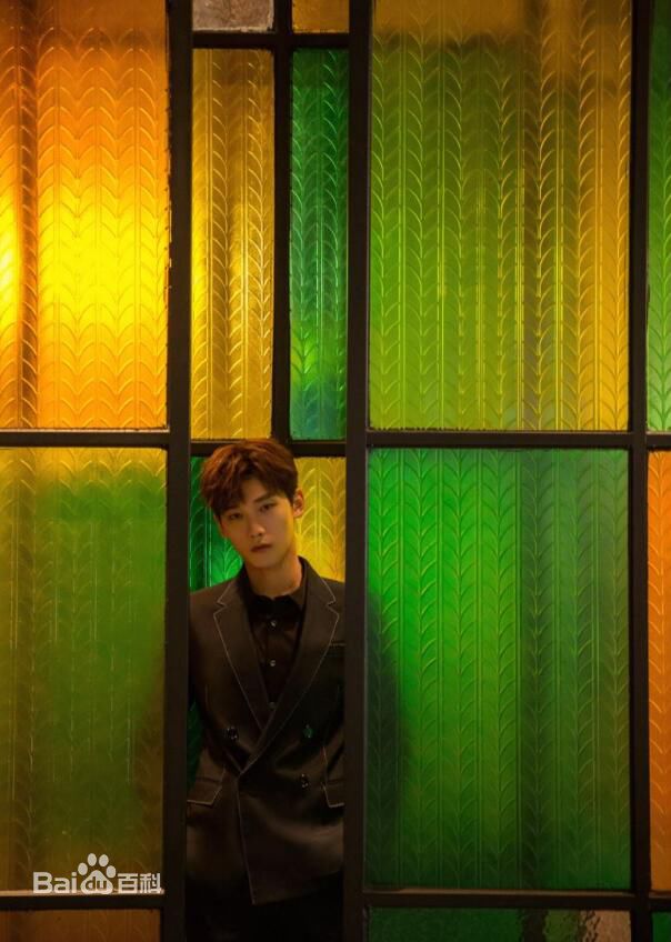 邢昭林企鹅影视年度发布会前后照片