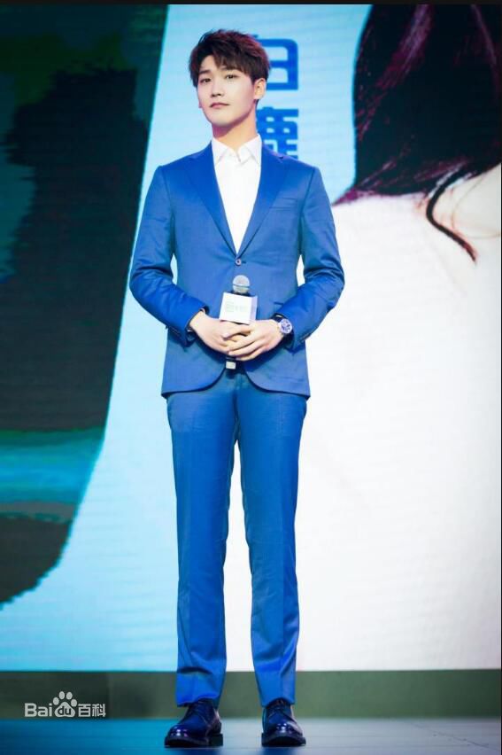 邢昭林爱奇艺悦享会性感图片图集