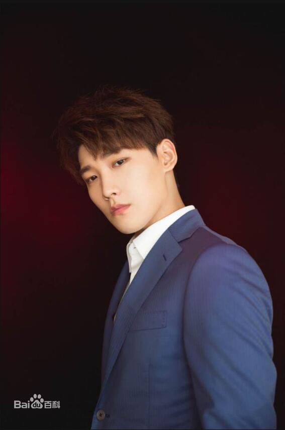 邢昭林爱奇艺悦享会性感图片图集