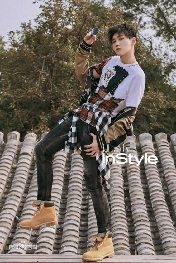 邢昭林Instyle优家画报壁纸壁纸