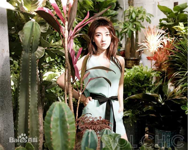 梁洁最新丛林图集