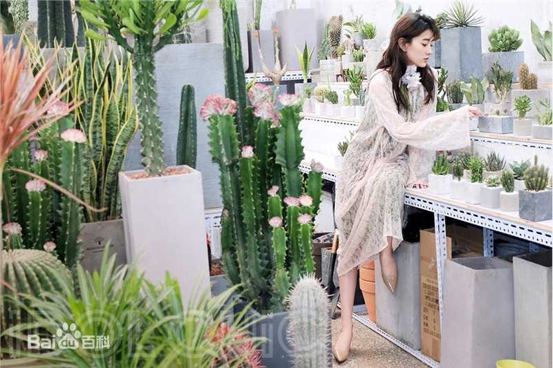 梁洁最新丛林图集