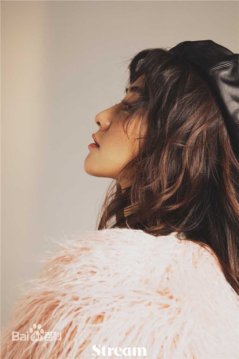 梁洁Stream图册