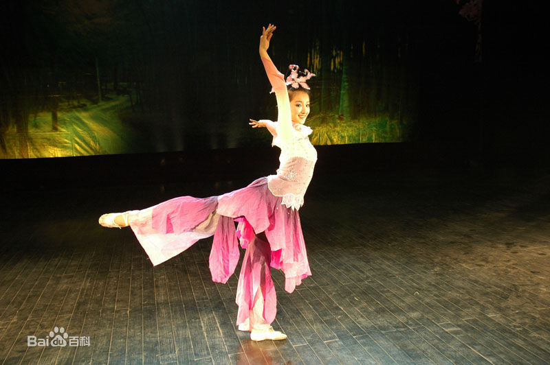 最优质殷叶子精彩图册