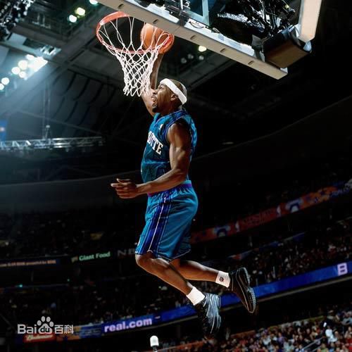 拜伦·戴维斯(Baron Davis)勇士时期性感图片图集