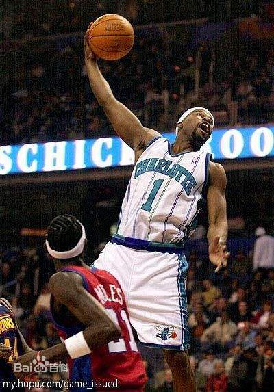 拜伦·戴维斯(Baron Davis)黄蜂时期图册