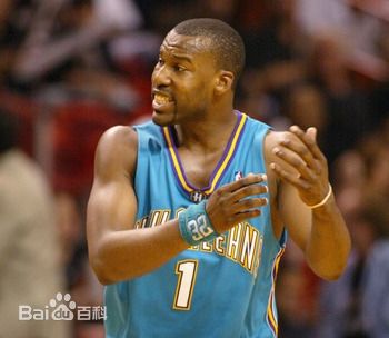 拜伦·戴维斯(Baron Davis)黄蜂时期图册