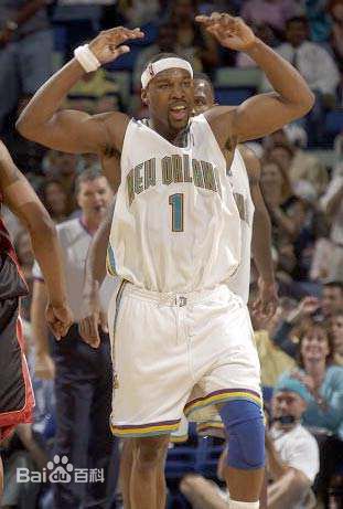 拜伦·戴维斯(Baron Davis)黄蜂时期图册