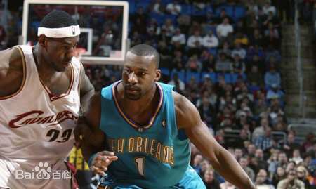 拜伦·戴维斯(Baron Davis)黄蜂时期图册