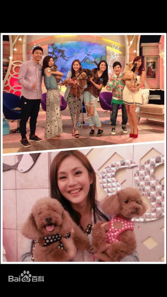 王宇婕(Margaret Wang)2014年参加综艺节目图片图片图集