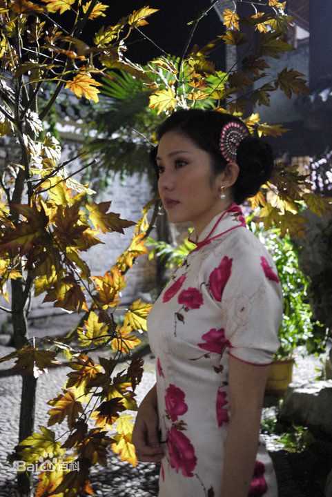 最新王宇婕(Margaret Wang)在流泪的新娘饰演杨梅仙壁纸