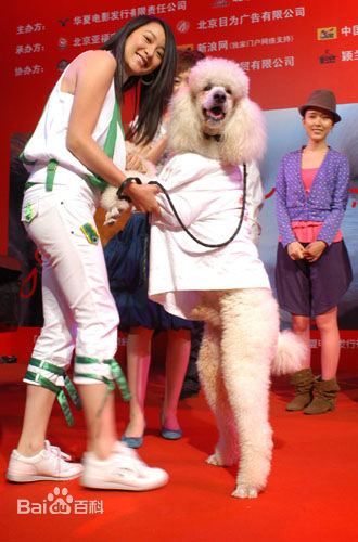 精选张佳楠图片