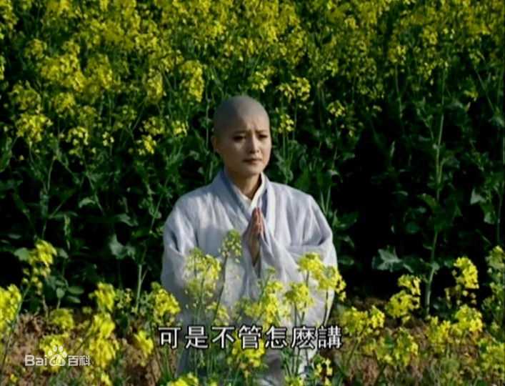 陈丽峰饰演的仪琳前后照片