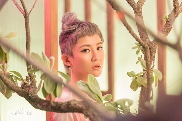 最全陈梓童(Tifa Chen、A.K.A Queen.T)壁纸