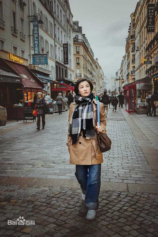 王艺曈(Carrie Wang)巴黎时装周性感图片壁纸