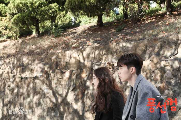 郑丽媛(，Jung Ryeo Won)tvn泡泡糖性感图片图集