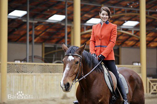 金成铃() 作品壁纸壁纸