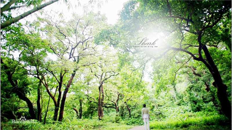 金南佶( Kim Nam Gil)鲨鱼素颜照相册