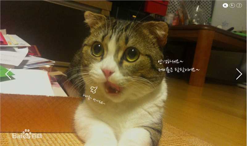 精选金南佶( Kim Nam Gil)精彩图册