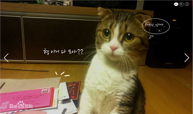 最优质金南佶( Kim Nam Gil)精彩图册