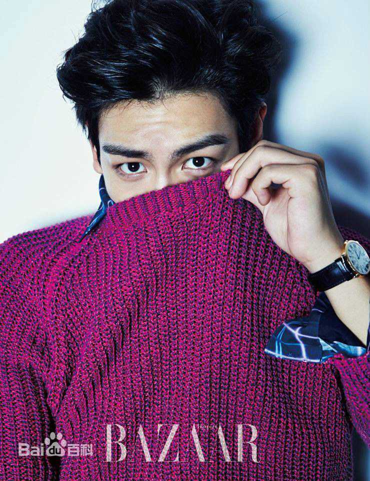 崔胜铉(Choi Seung Hyun)最全2014年杂志相册