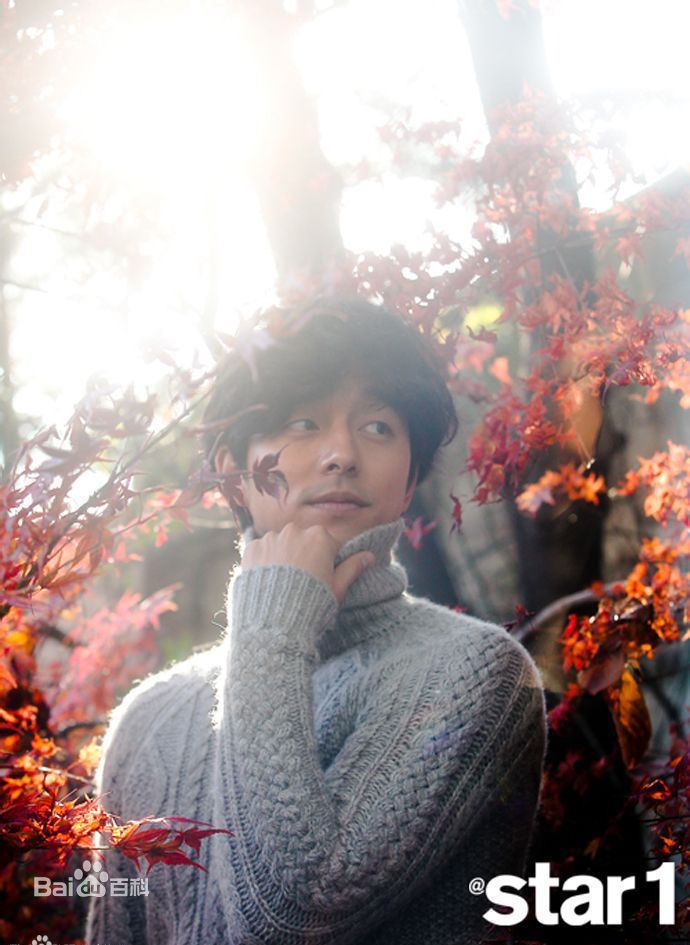 孔刘( （韩文）Gong Yoo（英文）)采访相关图集素颜照相册