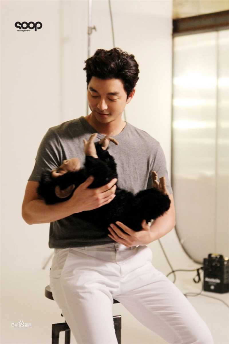 孔刘( （韩文）Gong Yoo（英文）)活动相关图集壁纸壁纸