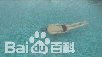 孔刘( （韩文）Gong Yoo（英文）)活动相关图集壁纸壁纸