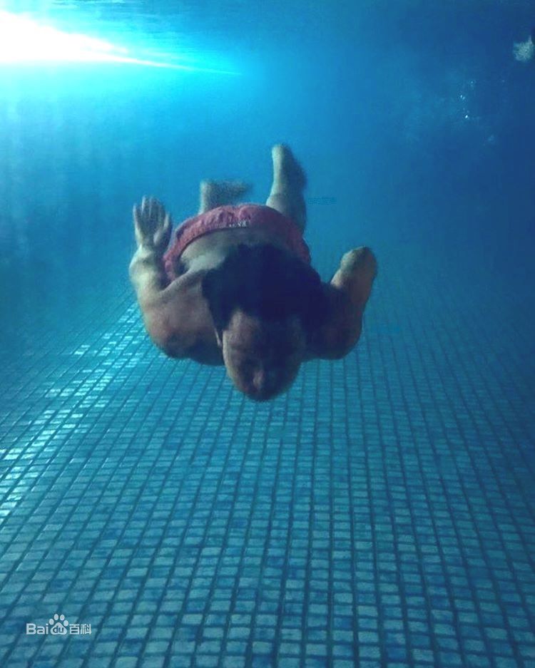 孔刘( （韩文）Gong Yoo（英文）)活动相关图集壁纸壁纸