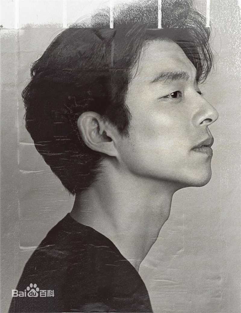 孔刘( （韩文）Gong Yoo（英文）)见面会相关图册图片图集