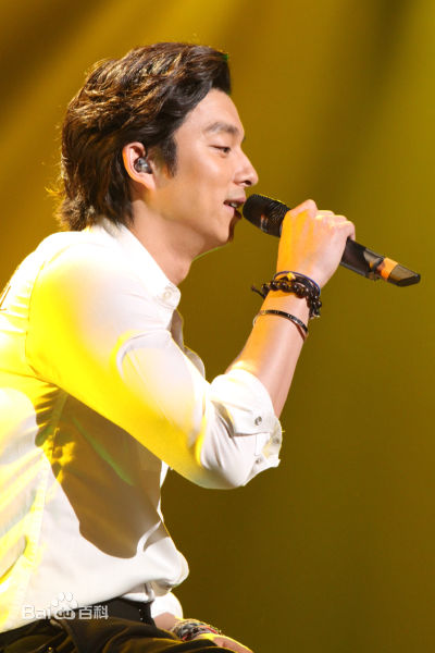 孔刘( （韩文）Gong Yoo（英文）)见面会相关图册图片图集