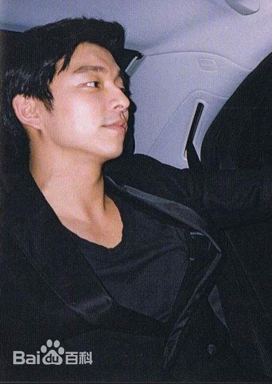 孔刘( （韩文）Gong Yoo（英文）)见面会相关图册图片图集