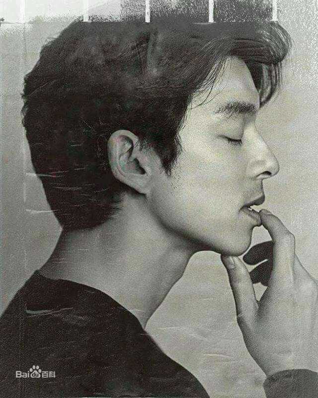 孔刘( （韩文）Gong Yoo（英文）)见面会相关图册图片图集