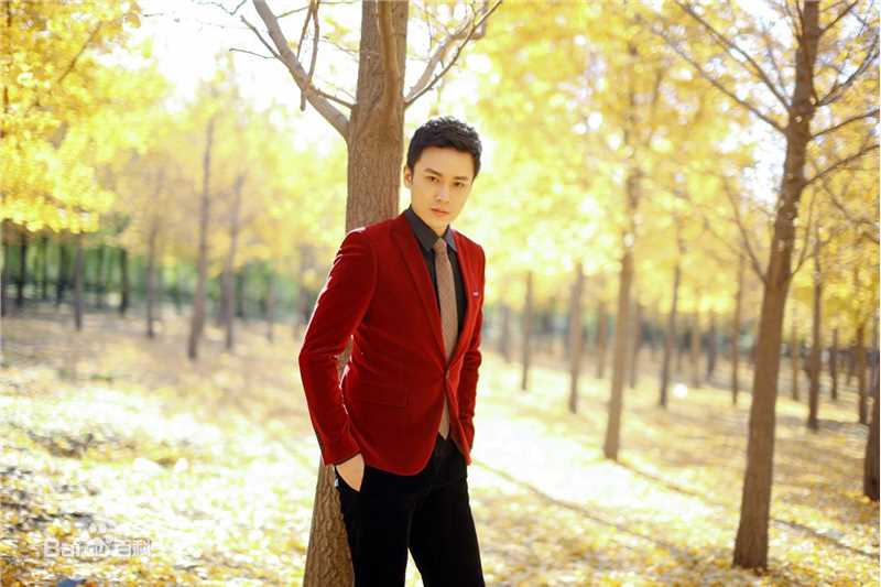 杨紫茳影视演员图片图集