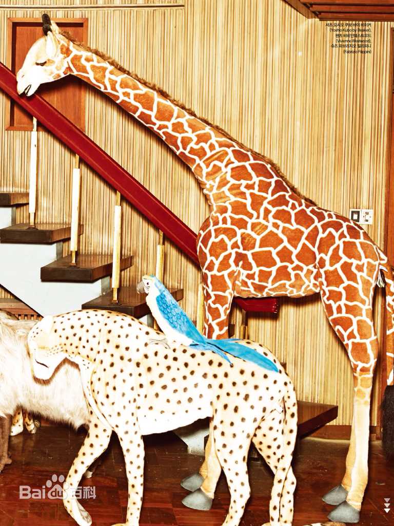 李钟硕(Lee Jong Suk)CECI KOREA壁纸壁纸