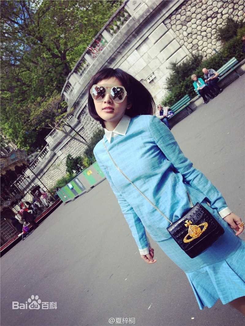 夏梓桐第四届法中电影节壁纸壁纸