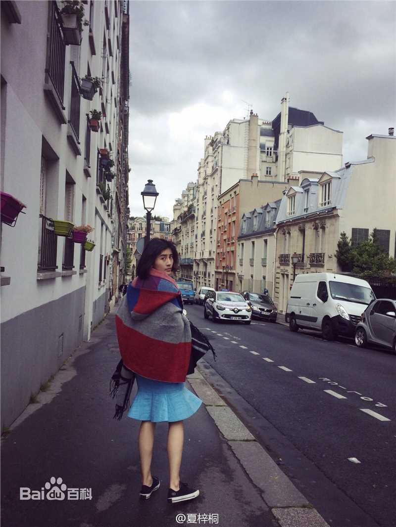 夏梓桐第四届法中电影节壁纸壁纸