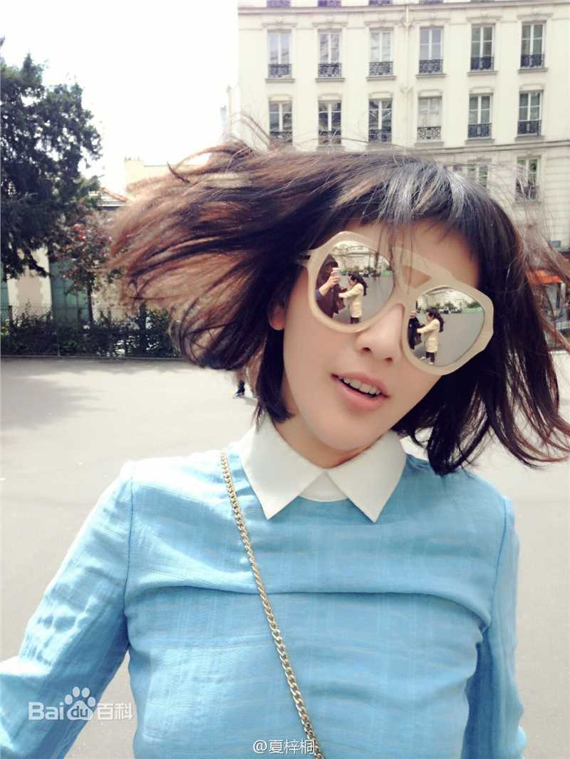 夏梓桐第四届法中电影节壁纸壁纸