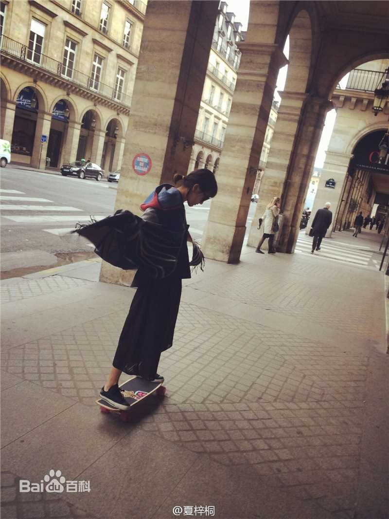 夏梓桐第四届法中电影节壁纸壁纸